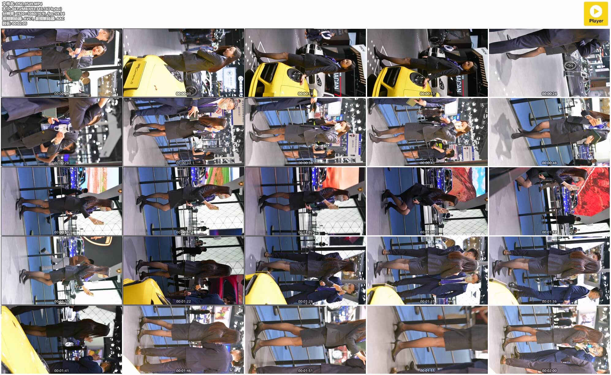 DSC_9549.MP4.jpg